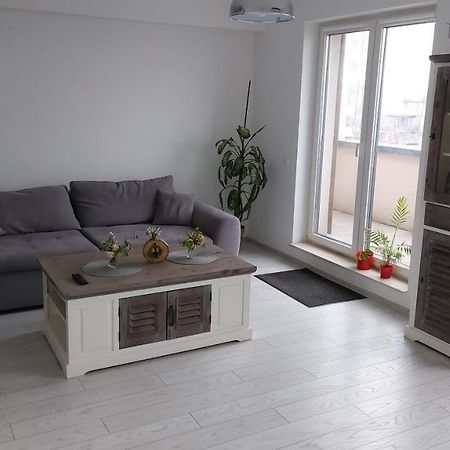 Maurer Loft Apartment Targu-Mures Bagian luar foto