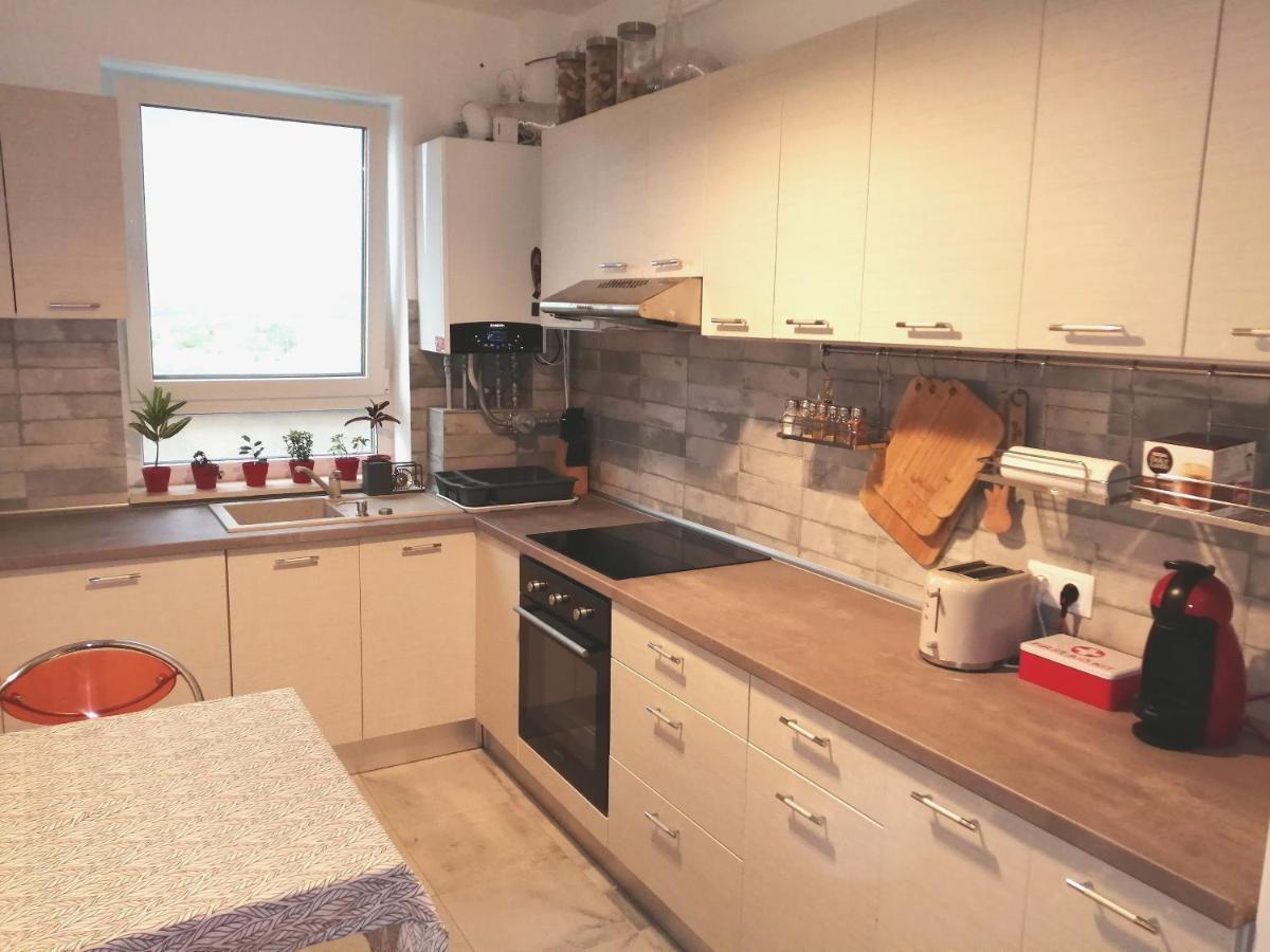 Maurer Loft Apartment Targu-Mures Bagian luar foto