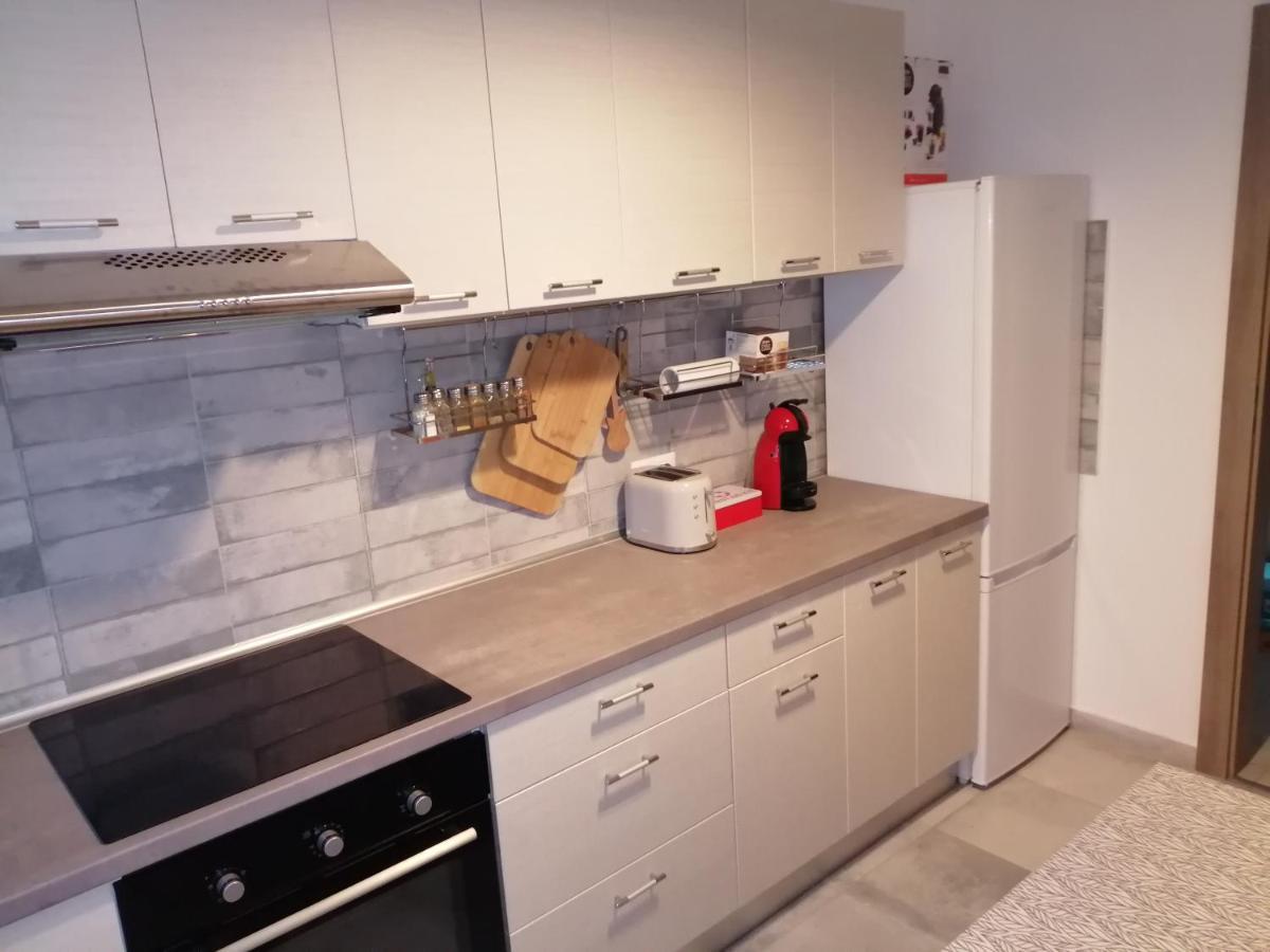 Maurer Loft Apartment Targu-Mures Bagian luar foto