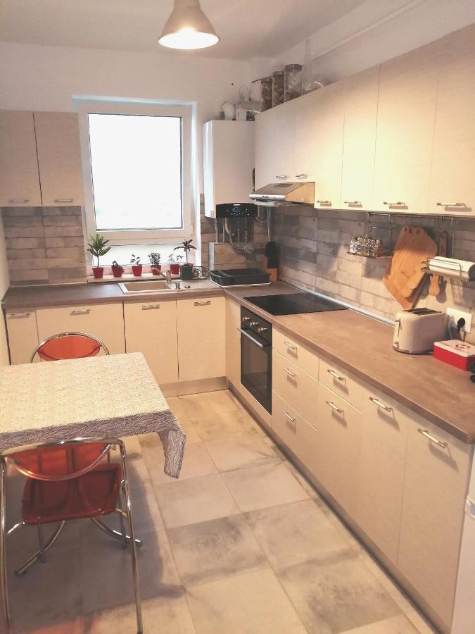 Maurer Loft Apartment Targu-Mures Bagian luar foto