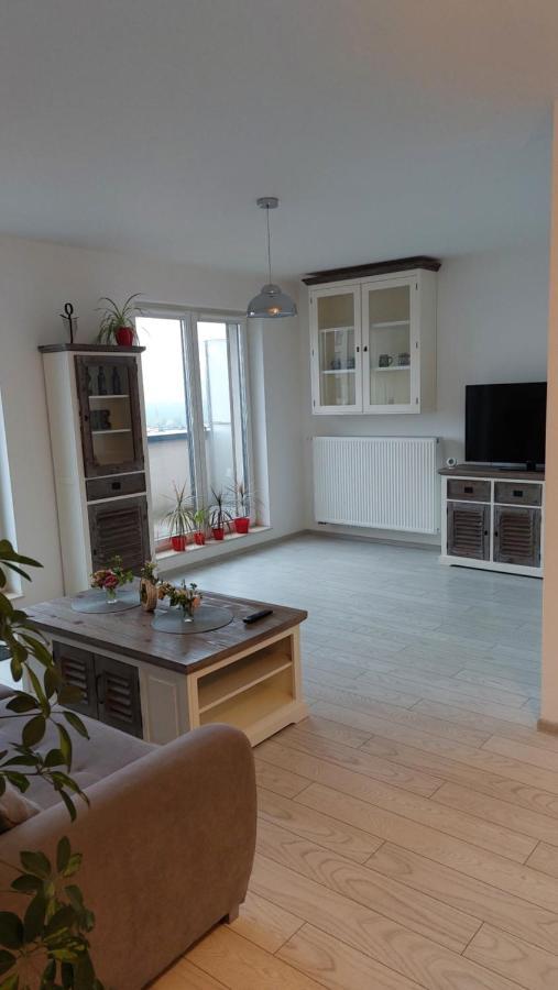 Maurer Loft Apartment Targu-Mures Bagian luar foto